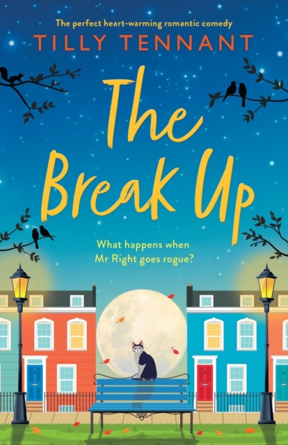 The Break Up : The perfect heartwarming romantic comedy, Paperback / softback Book