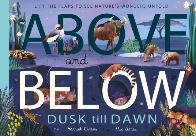 Above and Below: Dusk till Dawn : Lift the flaps to see nature's wonders unfold, Hardback Book