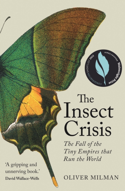 The Insect Crisis : The Fall of the Tiny Empires that Run the World, Hardback Book