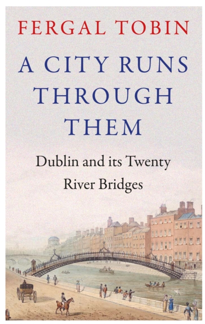 A City Runs Through Them : Dublin and its Twenty River Bridges, Hardback Book