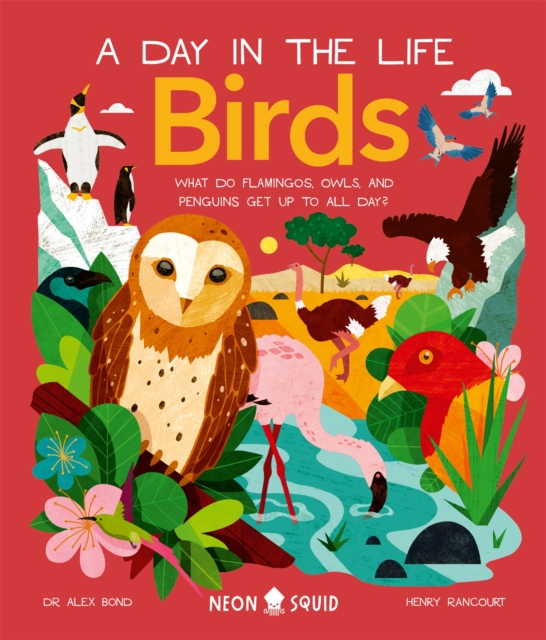 Birds (A Day in the Life) : What Do Flamingos, Owls, and Penguins Get Up To All Day?, Hardback Book