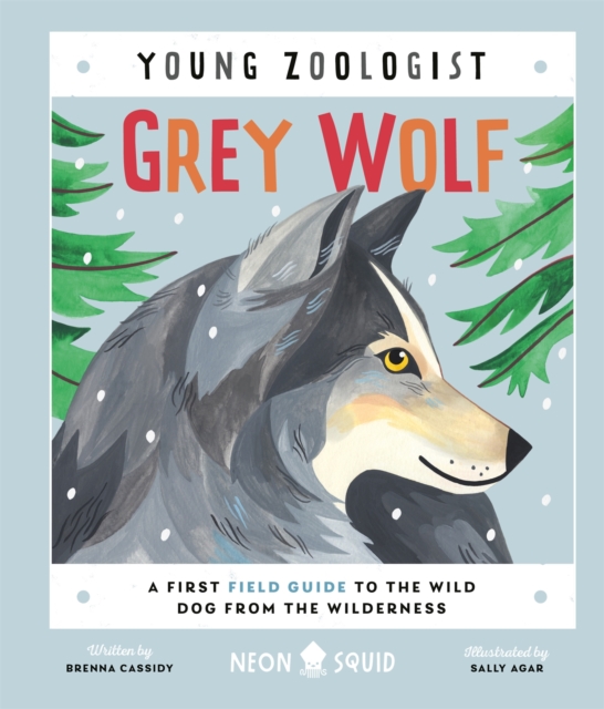 Grey Wolf (Young Zoologist) : A First Field Guide to the Wild Dog from the Wilderness, Hardback Book