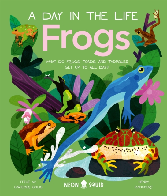 Frogs (A Day in the Life) : What Do Frogs, Toads, and Tadpoles Get Up to All Day?, Hardback Book