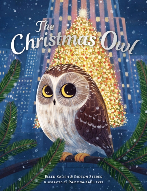 The Christmas Owl, Paperback / softback Book