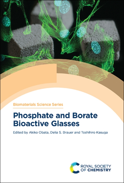 Phosphate and Borate Bioactive Glasses, Hardback Book