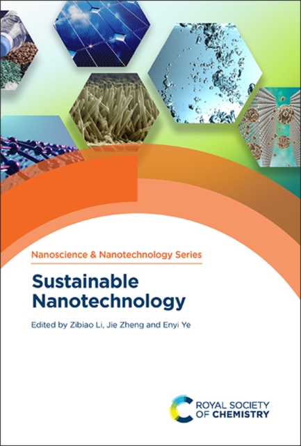 Sustainable Nanotechnology, Hardback Book
