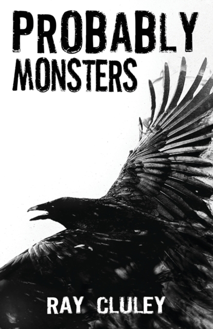 Probably Monsters, Paperback / softback Book