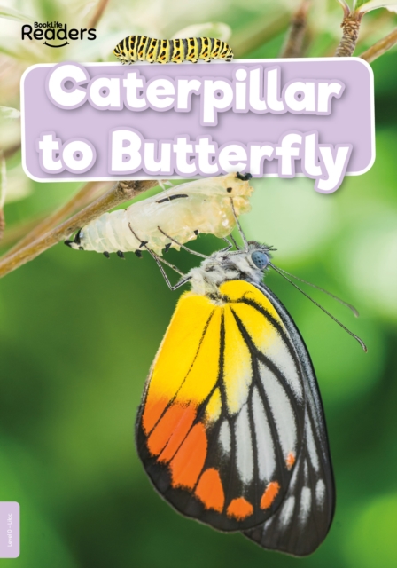 Caterpillar to Butterfly, Paperback / softback Book