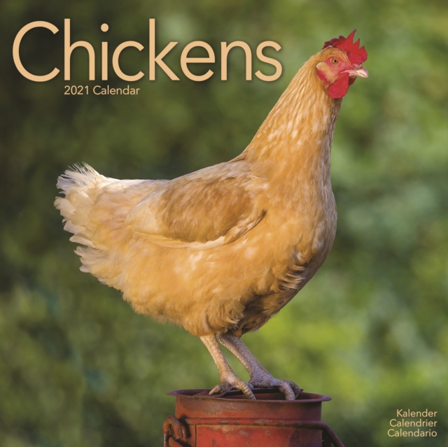 Chickens 2021 Wall Calendar, Calendar Book