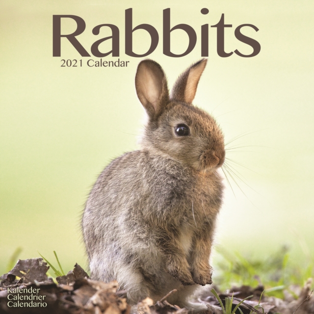 Rabbits 2021 Wall Calendar, Calendar Book