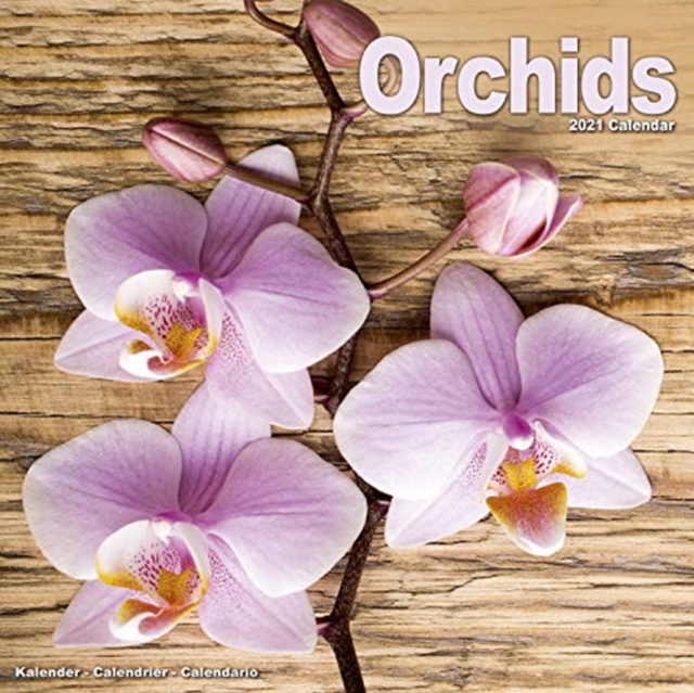 Orchids 2021 wall Calendar, Calendar Book