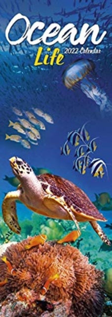 Ocean Life 2022 Slim Calendar, Calendar Book