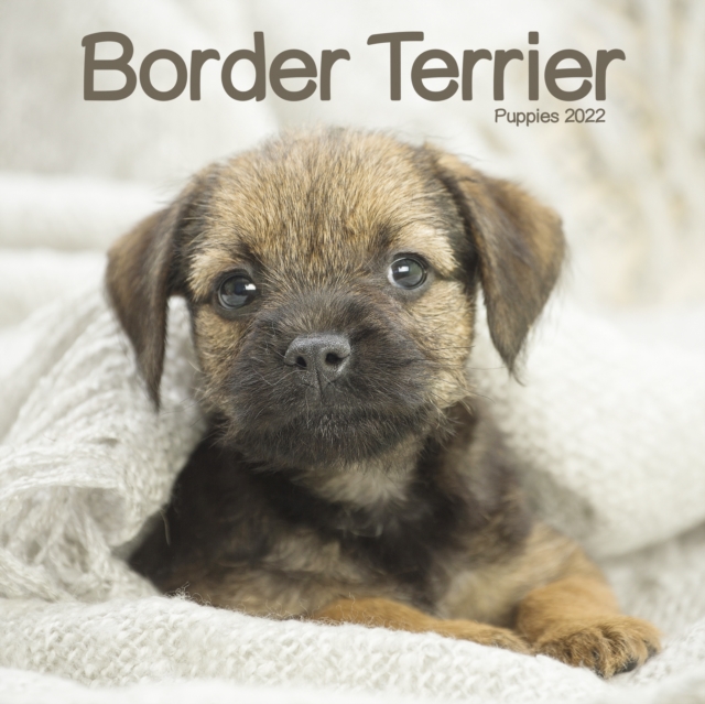 Border Terrier Puppies Mini Square Wall Calendar 2022, Calendar Book