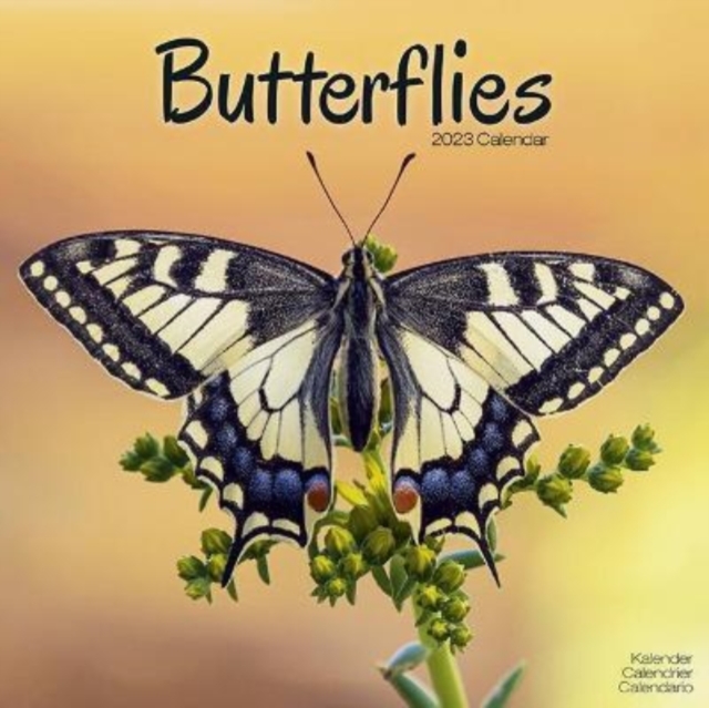 Butterflies 2023 Wall Calendar, Calendar Book