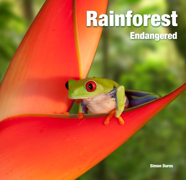 Rainforest Endangered, Hardback Book