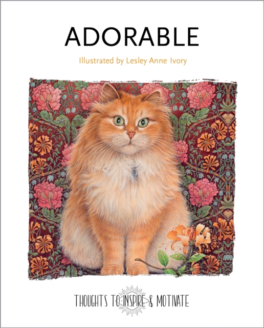 Adorable : Illustrated by Lesley Anne Ivory, Hardback Book