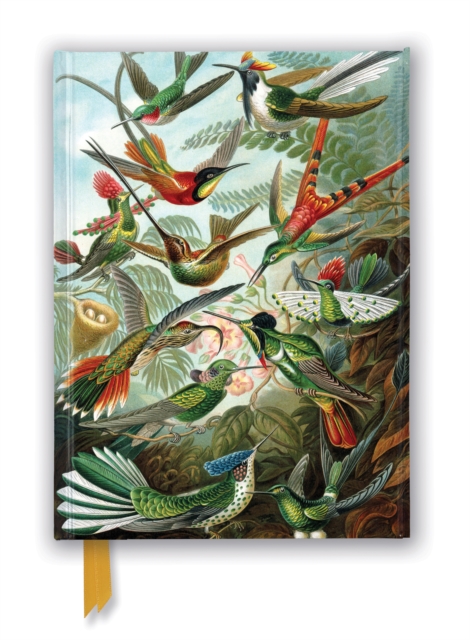 Ernst Haeckel: Hummingbirds (Foiled Journal), Notebook / blank book Book