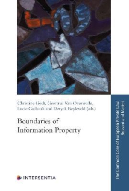 Boundaries of Information Property, Paperback / softback Book