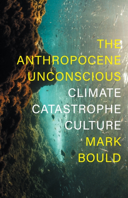 The Anthropocene Unconscious : Climate Catastrophe Culture, EPUB eBook