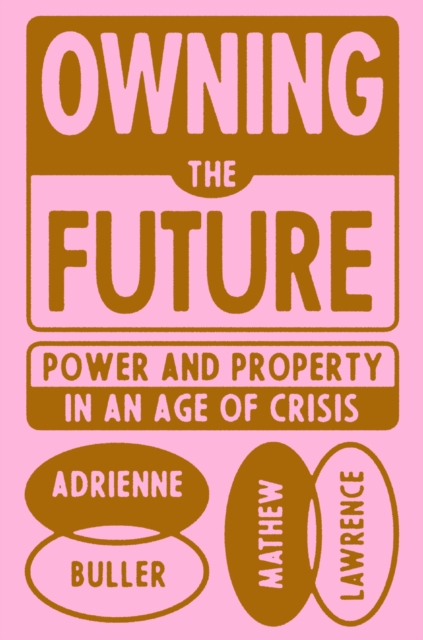 Owning the Future : Power and Property in an Age of Crisis, EPUB eBook