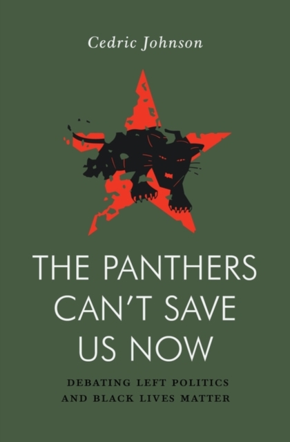 The Panthers Can't Save Us Now : Debating Left Politics and Black Lives Matter, Paperback / softback Book