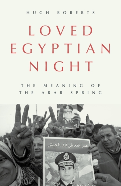 Loved Egyptian Night : The Meaning of the Arab Spring, Hardback Book
