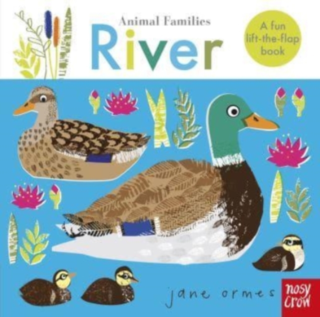 Animal Families: River, Board book Book