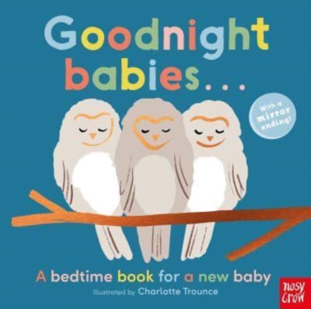 Goodnight Babies . . ., Board book Book