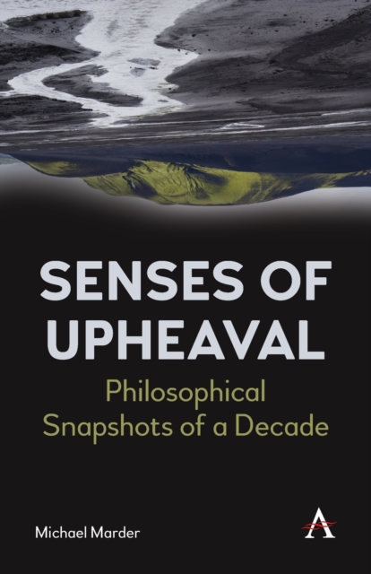 Senses of Upheaval : Philosophical Snapshots of a Decade, Paperback / softback Book