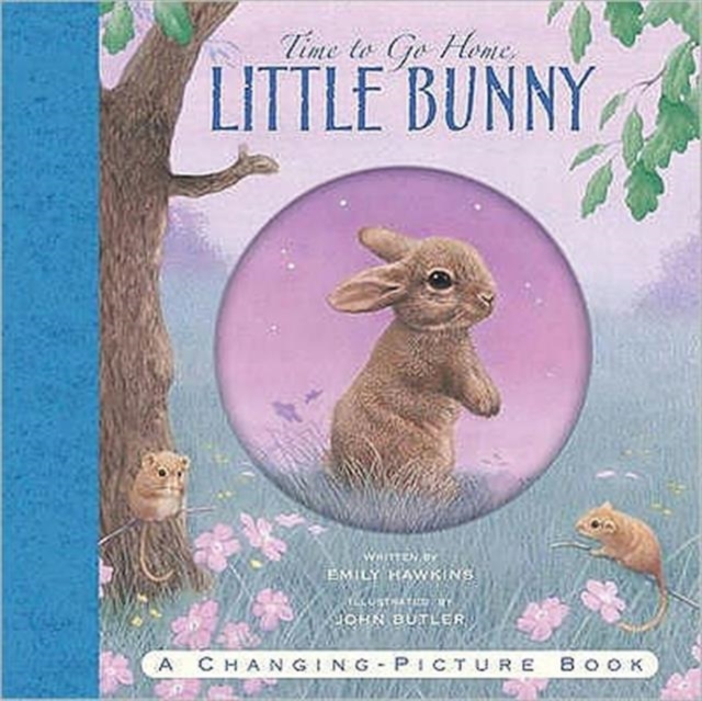 Time to Go Home Little Bunny, Hardback Book
