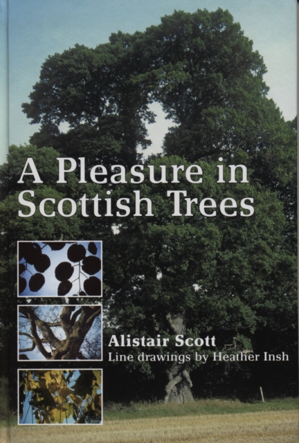 A Pleasure In Scottish Trees, Paperback / softback Book