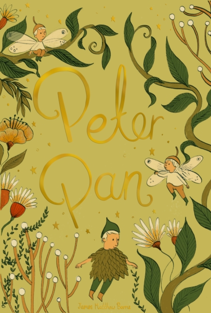 Peter Pan, Hardback Book