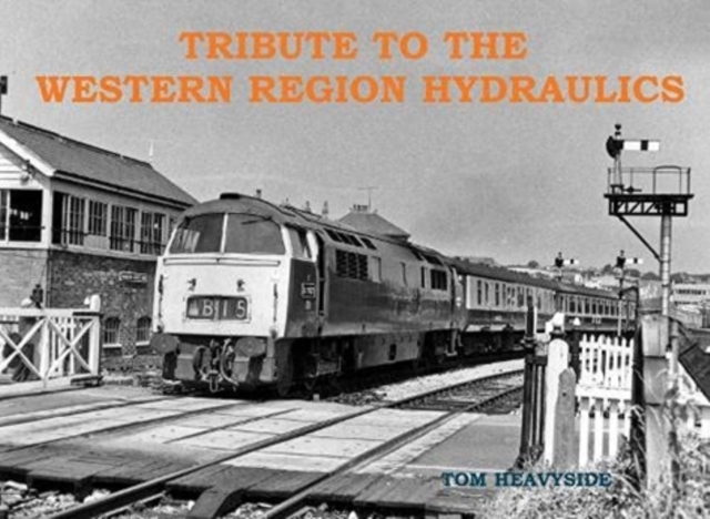 Tribute to the Western Region Hydraulics, Paperback / softback Book