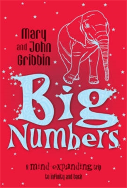 Big Numbers : A Mind-Expanding Trip to Infinity and Back, Paperback Book