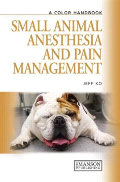 Small Animal Anesthesia and Pain Management : A Color Handbook, Paperback / softback Book