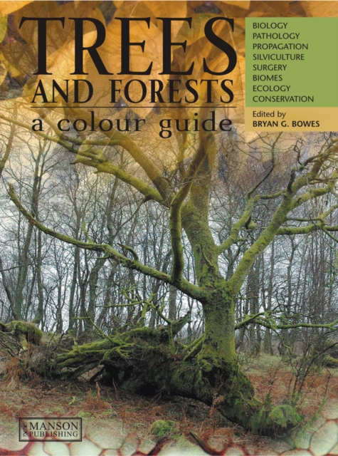 Trees & Forests, A Colour Guide : Biology, Pathology, Propagation, Silviculture, Surgery, Biomes, Ecology, and Conservation, PDF eBook