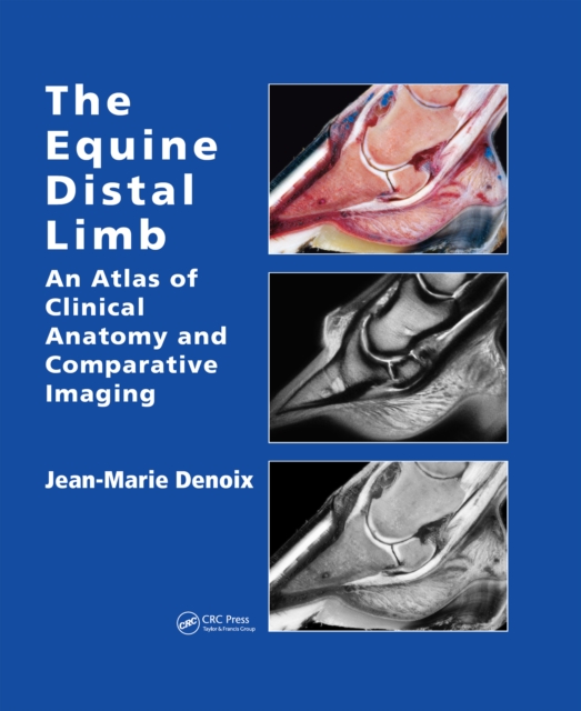 The Equine Distal Limb : An Atlas of Clinical Anatomy and Comparative Imaging, PDF eBook