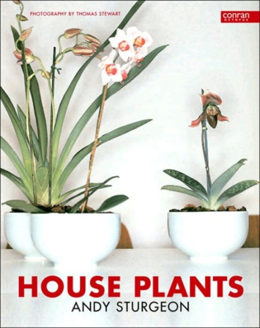HOUSE PLANTS,  Book
