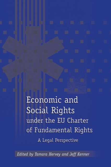 Economic and Social Rights under the EU Charter of Fundamental Rights : A Legal Perspective, Hardback Book