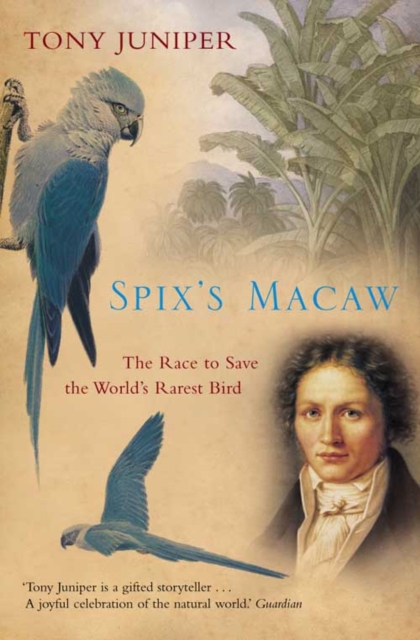 Spix’s Macaw : The Race to Save the World’s Rarest Bird, Paperback / softback Book