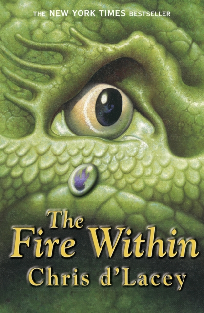 The Last Dragon Chronicles: The Fire Within : Book 1, Paperback / softback Book