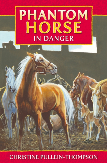 Phantom Horse in Danger, Paperback / softback Book