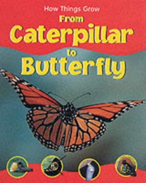 From Caterpillar to Butterfly, Hardback Book