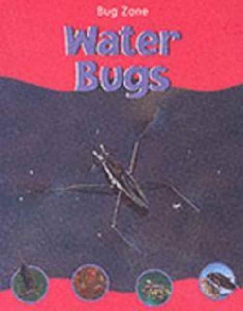 Water Bugs, Hardback Book