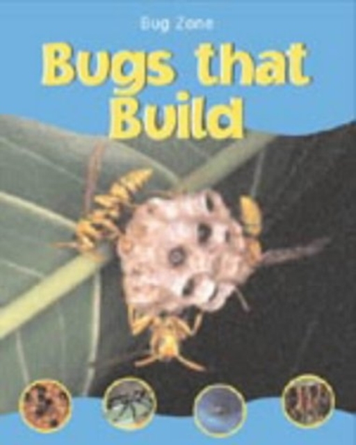 BUG ZONE BUGS THAT BUILD,  Book
