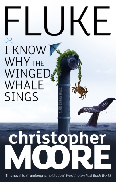Fluke : Or, I Know Why the Winged Whale Sings, Paperback / softback Book