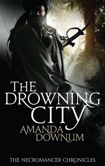 The Drowning City, Paperback / softback Book