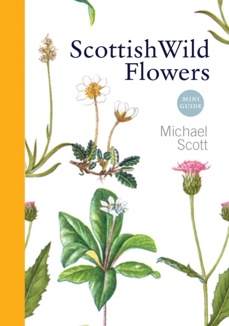 Scottish Wild Flowers : Mini Guide, Paperback / softback Book
