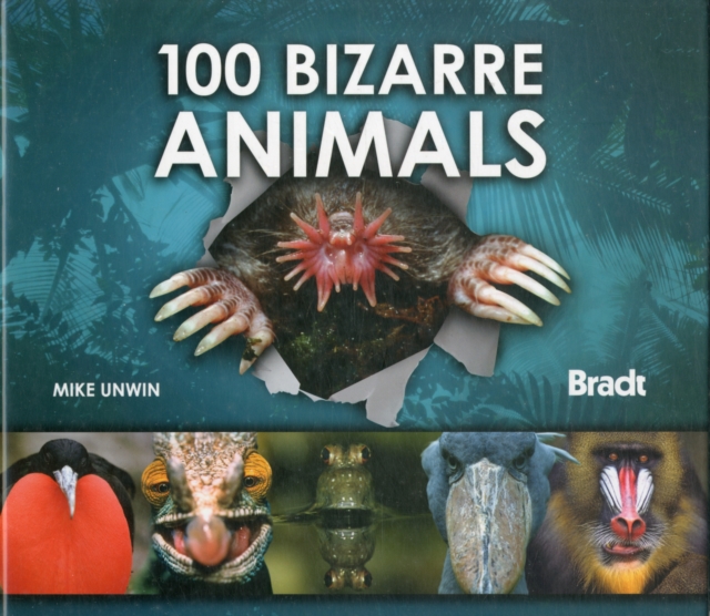 100 Bizarre Animals, Hardback Book