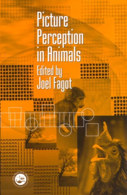 Picture Perception in Animals, Hardback Book